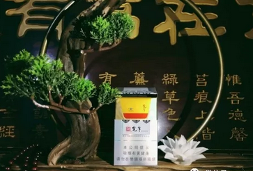 香烟空心管哪有批发